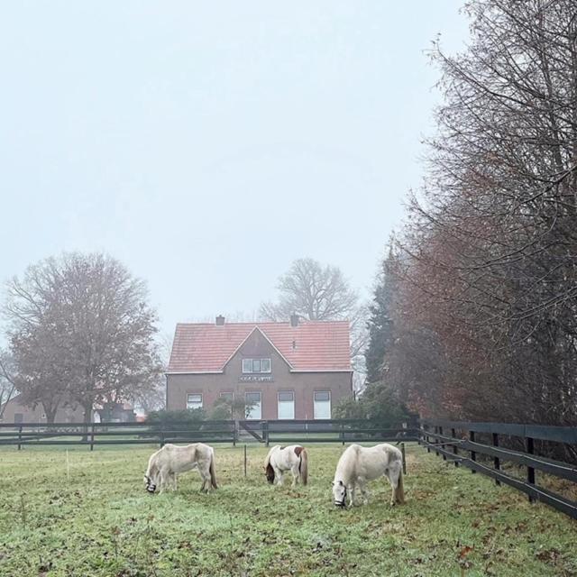 Hoeve De Snippert Groenlo Zewnętrze zdjęcie